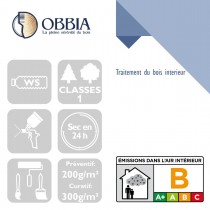 Pictogrammes de mise en oeuvre et certification(s) pour le Traitement du bois interieur Obbia