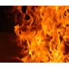 Protection incendie bois
